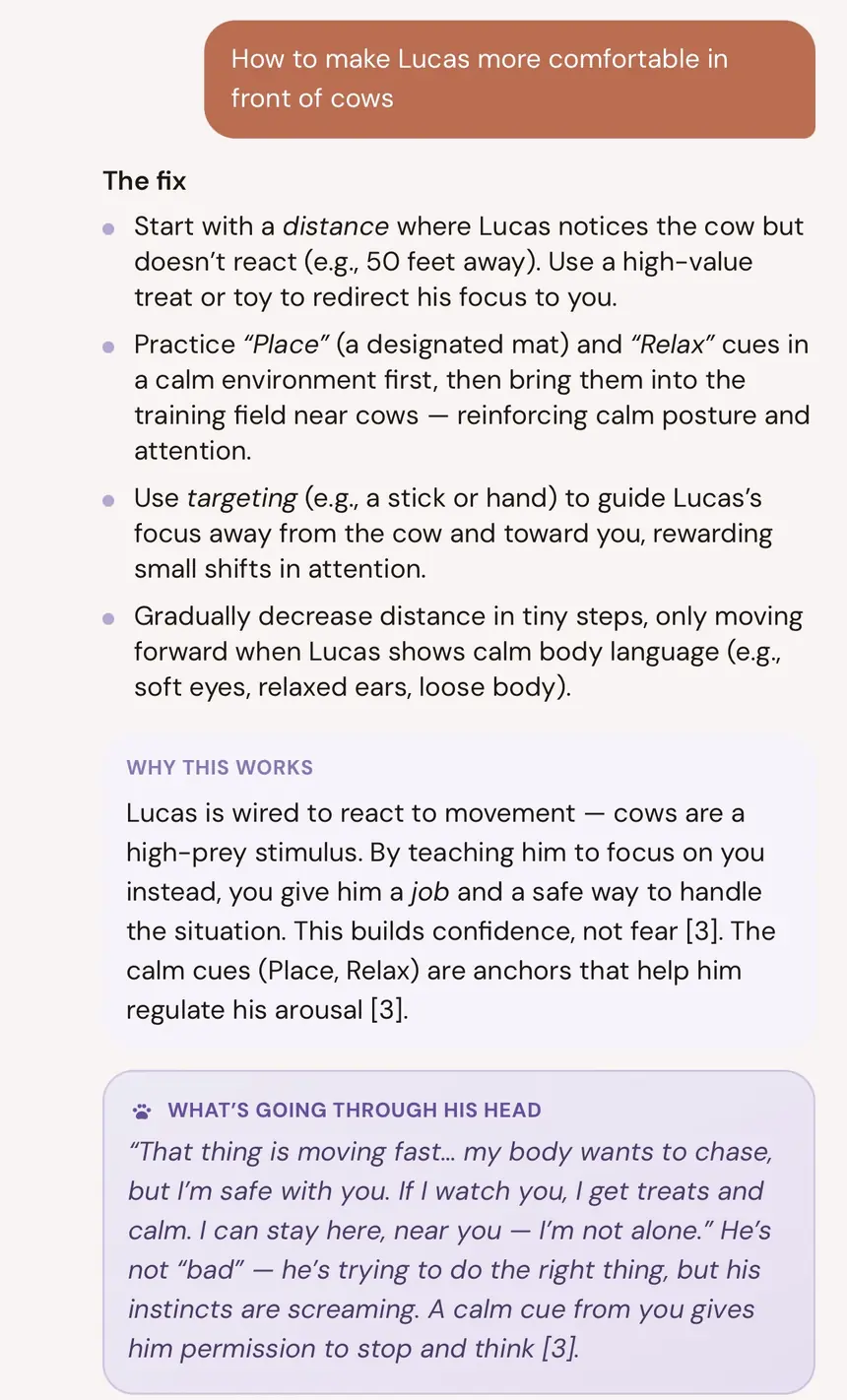 Pawly coach screen with a plan for helping Lucas stay comfortable around cows